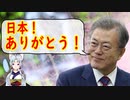 【韓国の反応】文大統領「韓国政府は日本との関係を非常に重視している、日本に感謝を伝えたい」【世界の〇〇にゅーす】