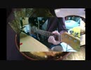 ハレ晴レユカイ歌ってみた【弾き語り】