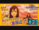 【KH2FM】何か夢があるならまず行動　人生の基本ルールだ【無知過ぎるキングダムハーツ2実況#23】