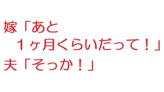 【2ch】嫁「あと１ヶ月くらいだって！」夫「そっか！」