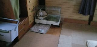 チュッチュにご飯上げた