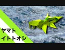 【折り紙】「ヤマトイトトオシ」 6枚【魚】／【origami】 "Yamato Itotooshi" 6 pieces【fish】