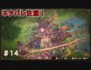 もう一人のブリガンダイン所持者、海賊ステラ参上！