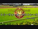 【第六猟兵】競馬企画用の説明サンプル