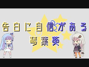 告白に自信がある琴葉葵