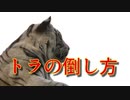 BGM『魔王城』U.K 動画〜トラの倒し方〜