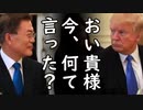 米韓為替スワップ6ヶ月延長で韓国が文在寅が米国圧迫した成果だと大歓喜！一方、韓国系財閥は日韓通貨スワップを実現させる気満々な模様ｗ2020/07/30-4