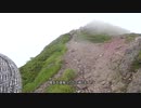 八ヶ岳散歩 横岳 20200721