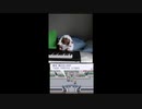ポケットモンスター  ブラック& ホワイト より 揺れぬ想い ピアノ ver Pokemon BW Unwavering Emotions piano ver