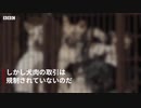 犬肉を食べる人とデートする？　韓国で深まる分断