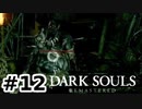 【初見実況】ゲーム下手がダークソウルをクリアするまで　リマスター版 その１２【DARK SOULS REMASTERED】