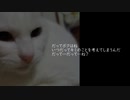 Tick Tack【オリジナル曲】
