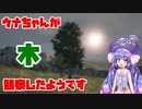 ウナちゃんの誕生日なので木を観察させてみた 【Tree Simulator 2021】