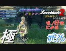 ゼノ好きによるゼノブレイド2初見でやり込み極プレイ(イーラ編)part26【実況】