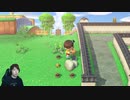【あつまれ どうぶつの森】アプデが来たー!夢の世界へ初めて行って来ます!#101
