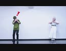 【刀剣乱舞／鶯丸】テレキャスタービーボーイ【鶴丸もいるよ！】