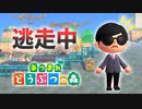 【あつ森】逃走中を森でやってみた inごとうれっ島【実況】