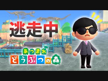 【あつ森】逃走中を森でやってみた inごとうれっ島【実況】