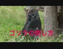 BGM『ラッパーリナイト』U.K〜ゴリラの倒し方〜