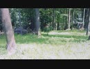 森にリア充居たからイタズラしたったwww