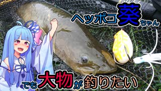 ヘッポコ葵ちゃんでも大物が釣りたい