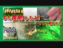 【産卵】2回目の産卵。2020年6月[Turtle spawning] Reeves turtle