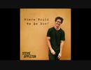 洋楽を高音質で聴いてみよう【1412】Stevie Appleton 『Where Would We Be Now』