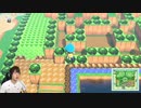 【あつまれ どうぶつの森】夢の世界へいざ!ポケモンの島が本気で凄かった!#102
