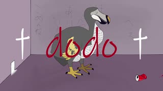 dodo