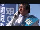 桜井誠VS石橋学（神奈川新聞社）都知事選　上野　平成28年7月24日