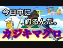 【あつ森】ノンアル飲みながらもカジキマグロを狙う配信。 #91【24歳フリーター】【俺たちは家族だ】【あつまれどうぶつの森】