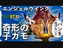 0731【カルガモ親子の悲劇】パン食で羽が奇形に。黄色い亀。マルガモ親子。ヒヨドリ水浴び、子セキレイ鳴き声【今日撮り野鳥動画まとめ】身近な生き物語
