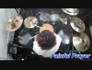 【アナザーエデン -時空を超える猫- 】 未来編バトルメドレー 『Another Eden ～Battle Medley～』　哲郎（Tetsuro）叩いてみた