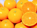 ㊗高海千歌生誕祭！ オリジナル曲 「Very sweet Orange」 高海千歌イメージ曲