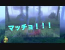 ゴビワンポケモンと縛りで剣盾を攻略する男［Part１］