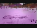 【NNIオリジナル曲】　keeps emerging　【インスト】