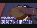 探し人を求めてwitcher3実況プレイ第283回
