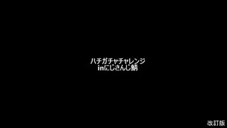 ハチガチャチャレンジ改訂版