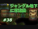 【実況】凄い家を造りたくて【PC版テラリア】Part38