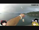 (ゆっくり実況)不定期釣り部part８【海釣り編２】