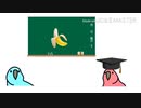 【Party Parrot 】丸バツクイズ編