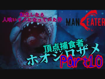 【実況】転生したら人喰いサメになっていた件【MANEATER】part10