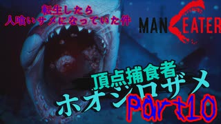 【実況】転生したら人喰いサメになっていた件【MANEATER】part10