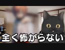 全く怖がらないドキドキドキドキ文芸部＃13
