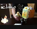 水浴びの終了を命令するインコ