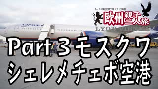 みっくり欧州親子二人旅　Part3　モスクワ・シェレメチェボ空港