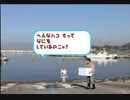 【実況】旅行に来たらネコがいた part6【トロと休日】