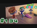 【実況】誕生日だったジュリアをキャンプサイトに呼んでみた #134【あつまれどうぶつの森】