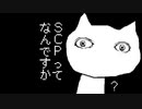 1分で「ねこ」と学ぶ！SCPってなんですか
