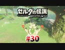 30#ブレス オブ ザ ワイルド[生放送実況プレイ]会員限定